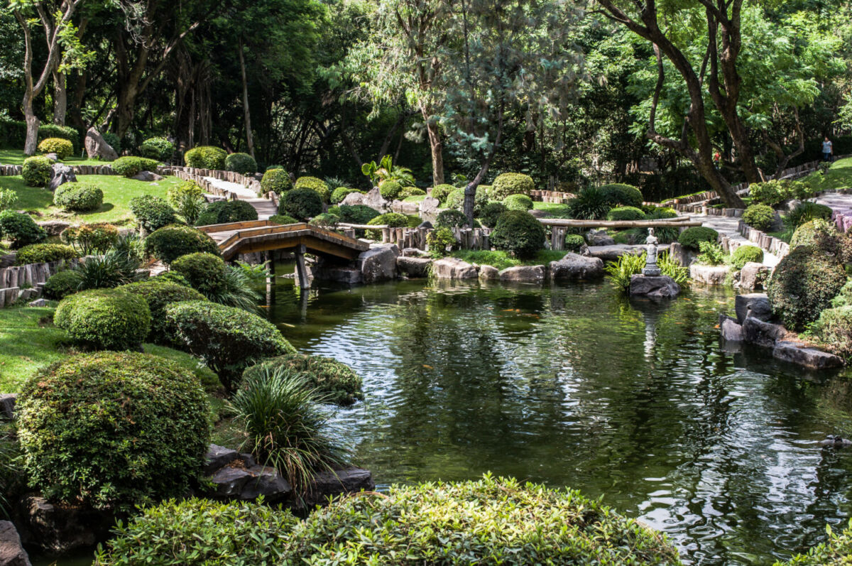 Jardín Japonés en Guadalajara 