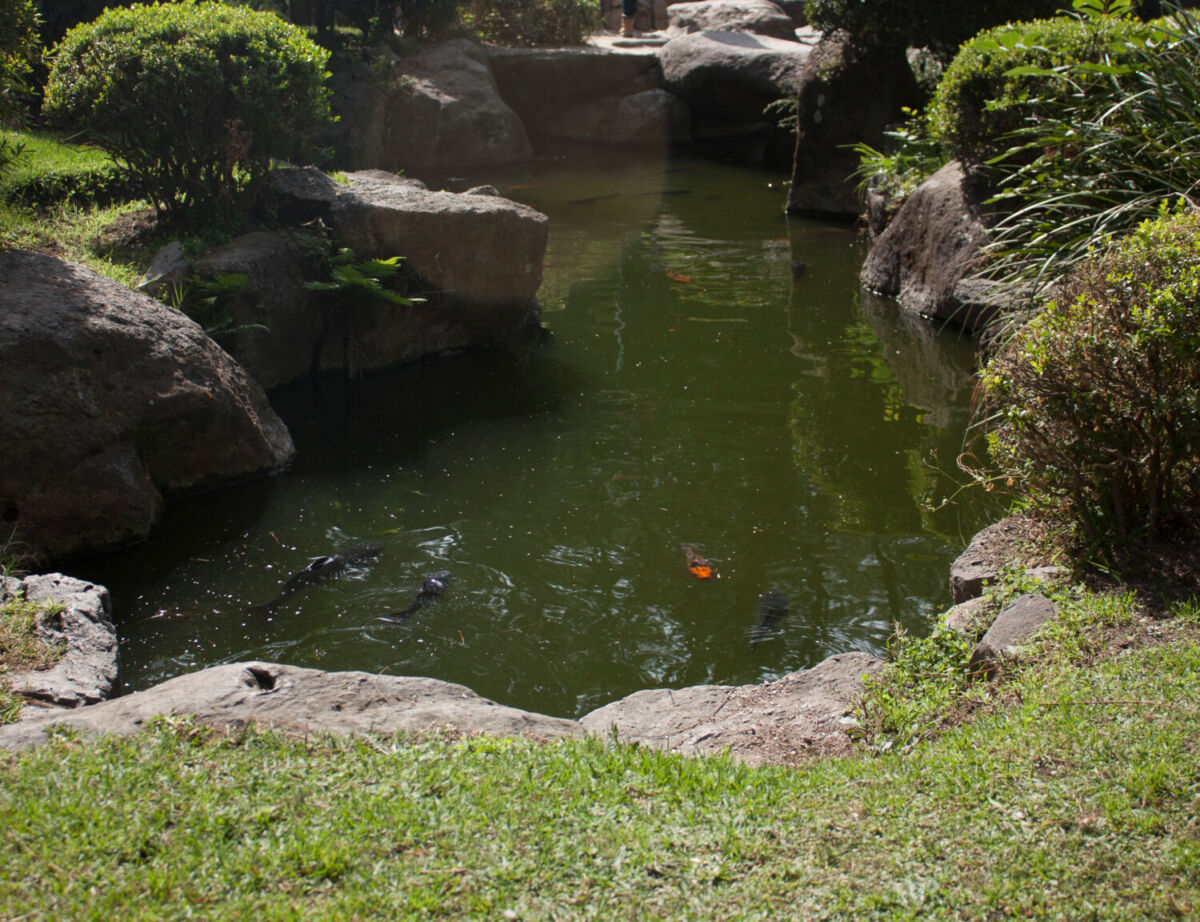Este Jardín Japonés está inspirado en los jardínes de Kioto 