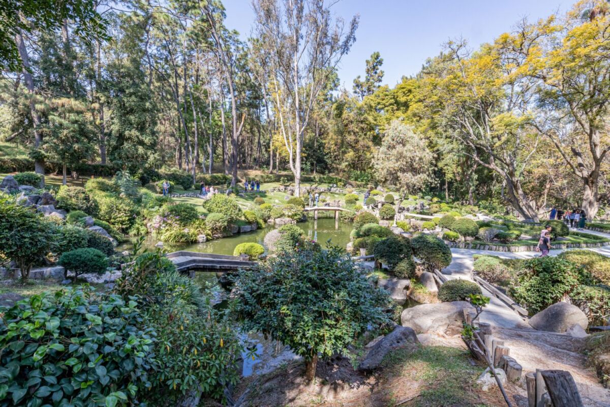 El Jardín Japonés se ubica dentro del Parque Los Colomos, en Guadalajara 