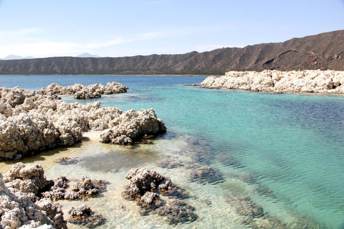 Los estromalitos son la evidencia de vida más antigua de la Tierra