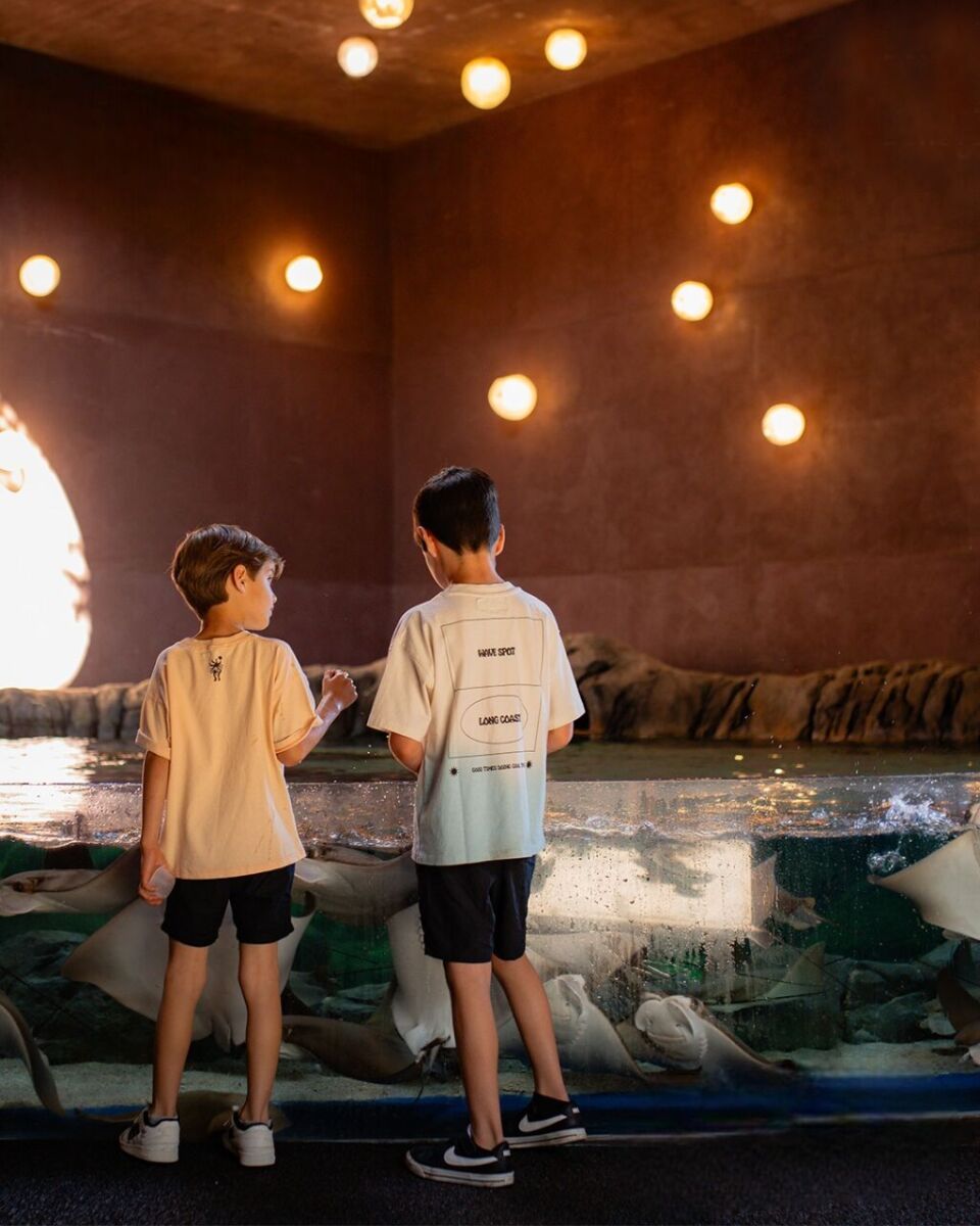 una de las experiencias del gran acuario mazatlán es la de alimentar rayas