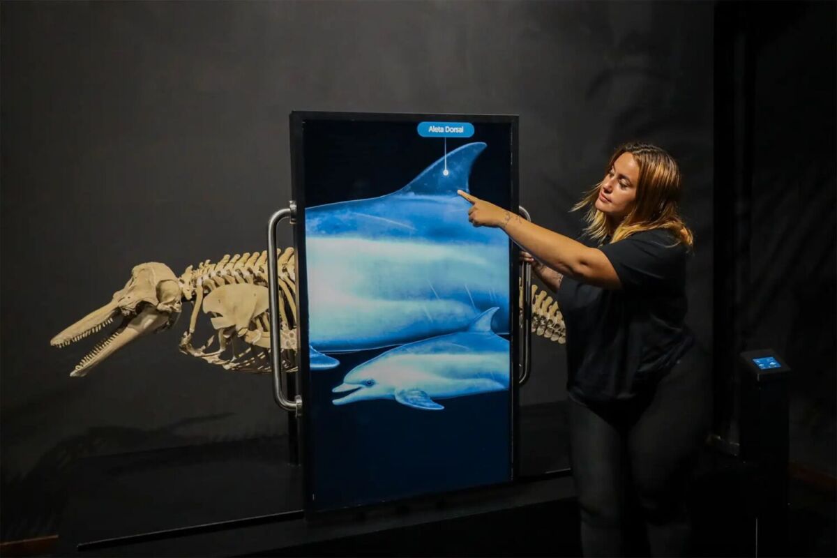 Museo Nacional de la Ballena en Mazatlán