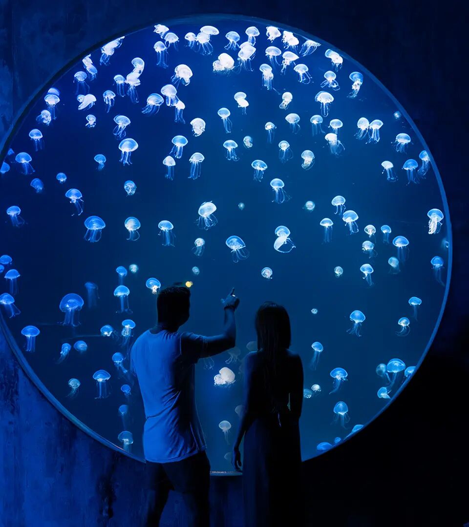 gran acuario de mazatlán dedicado al mar de cortés