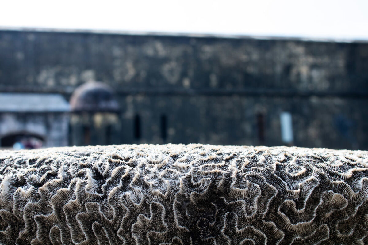 Museo del Fuerte de San Juan de Ulúa