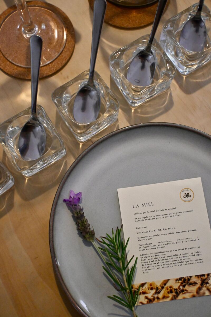 Cata de miel en Mielosa juárez