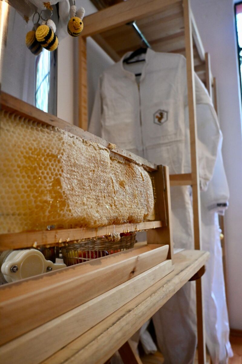 Flores, miel y sakura en la CDMX: 3 experiencias primaverales y deliciosas para vivir con tus amigas