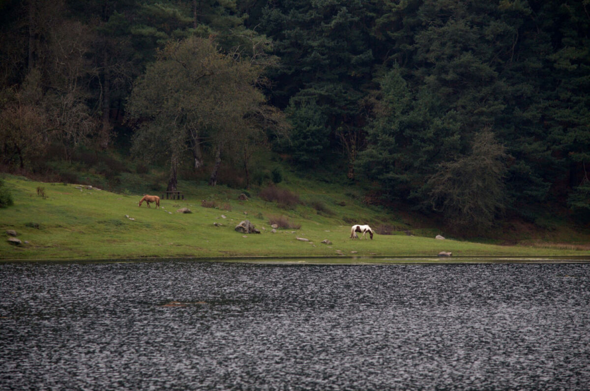 pueblos cerca de la CDMX con lagos 