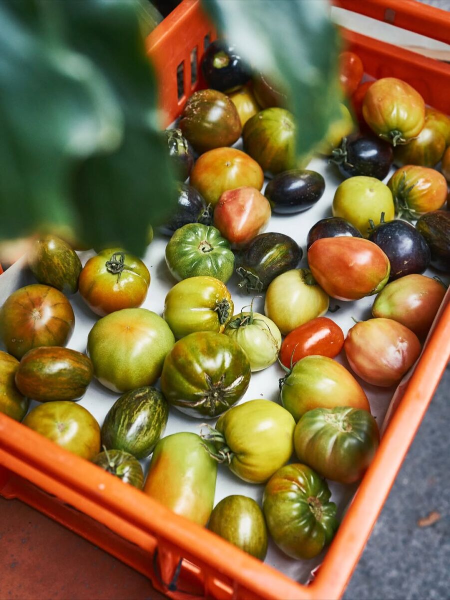 proyectos sustentables