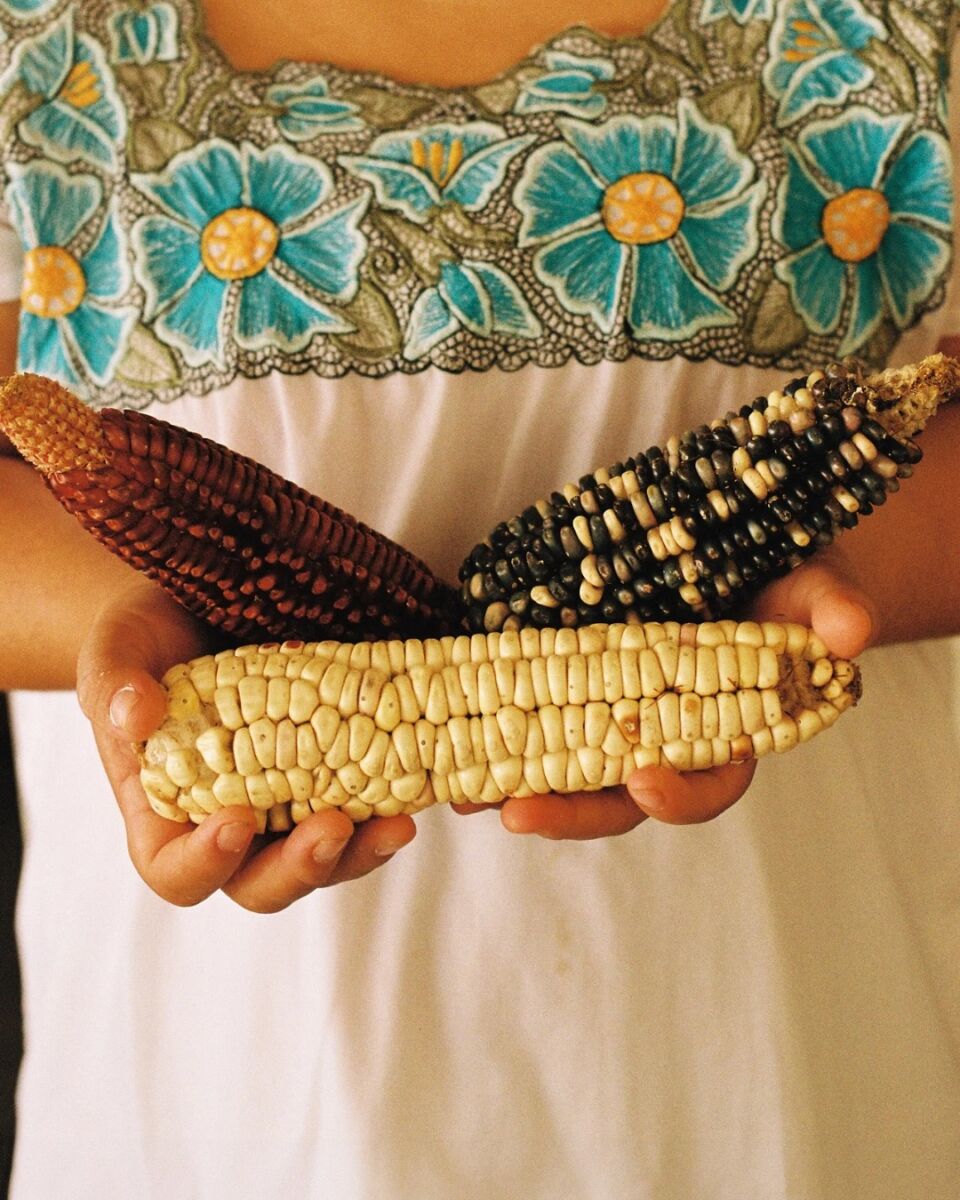 hoteles con poryectos sustentables