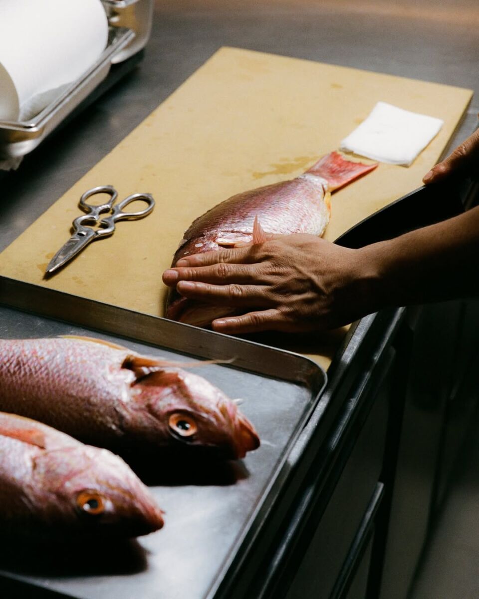 sustentabilidad Pujol