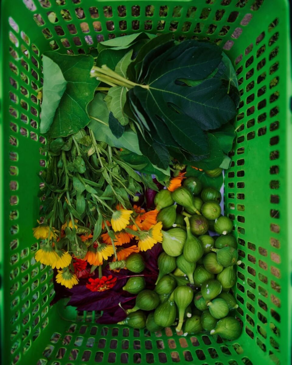 sustentabilidad rosewood San Miguel