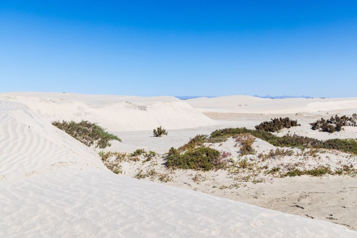 En Guerrero Negro hay dunas de arena y lagunas que son el principal atractivo, además de la salinera 