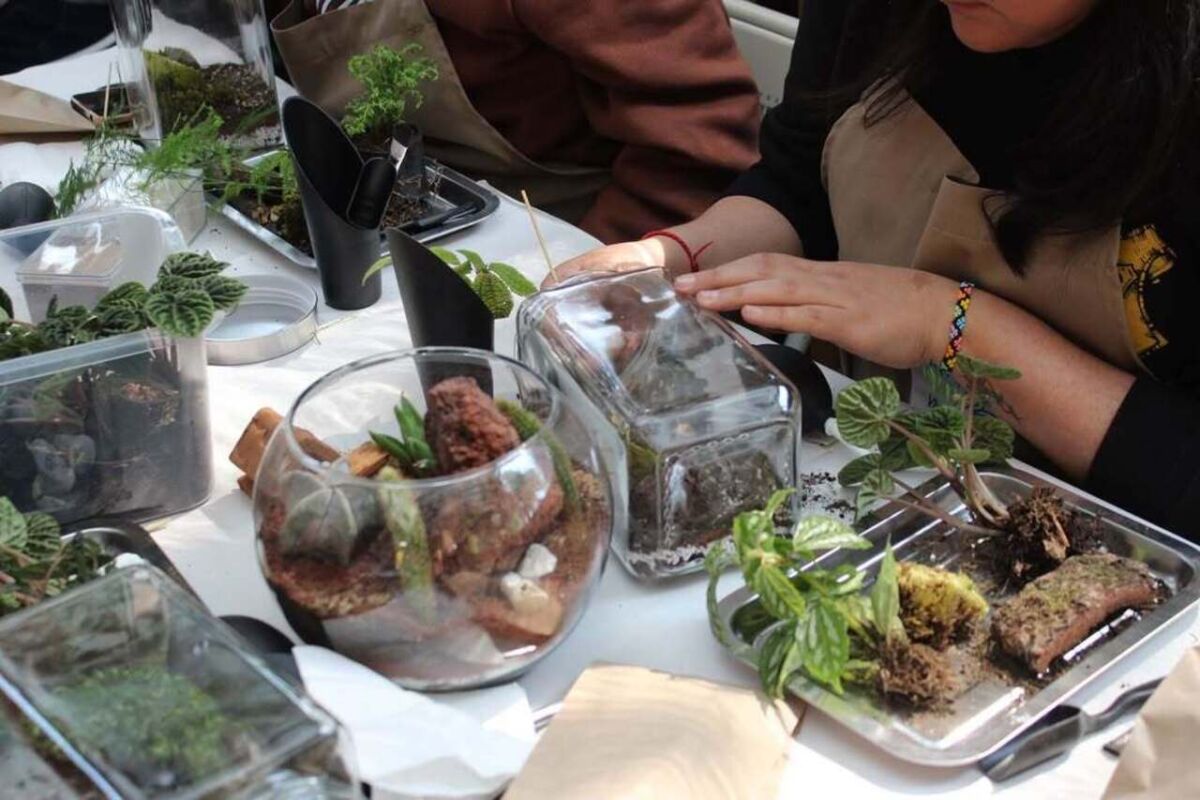 Idea de plan: café, plática y armar nuestro mini terrario