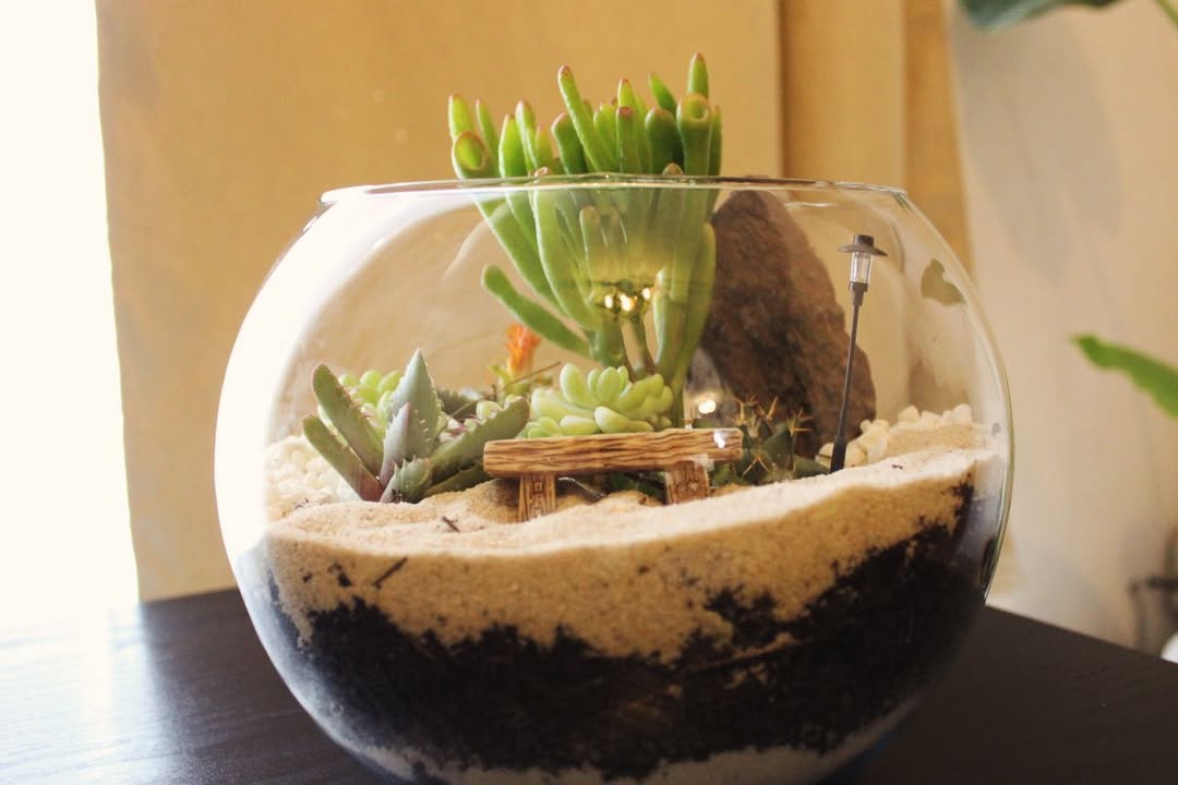 tu propia pieza de arte viva en el taller de arte botánico de fin de semana