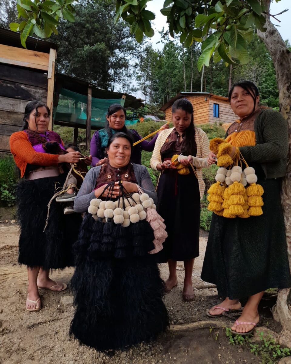 dónde comprar productos chiapanecos