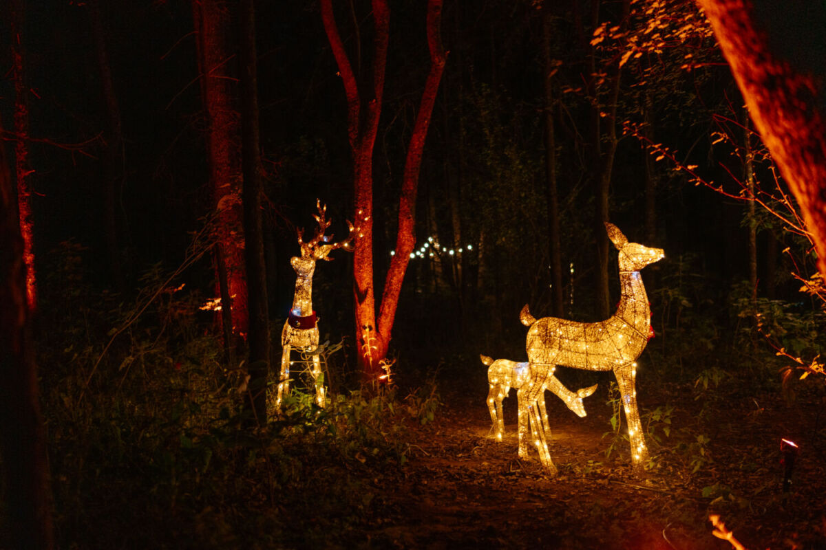 cabañas cerca de la CDMX 