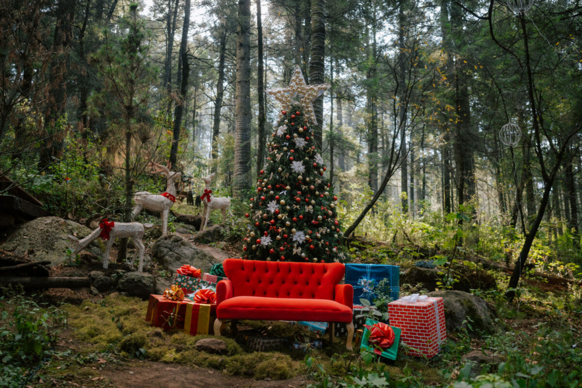 cabañas minimalistas 