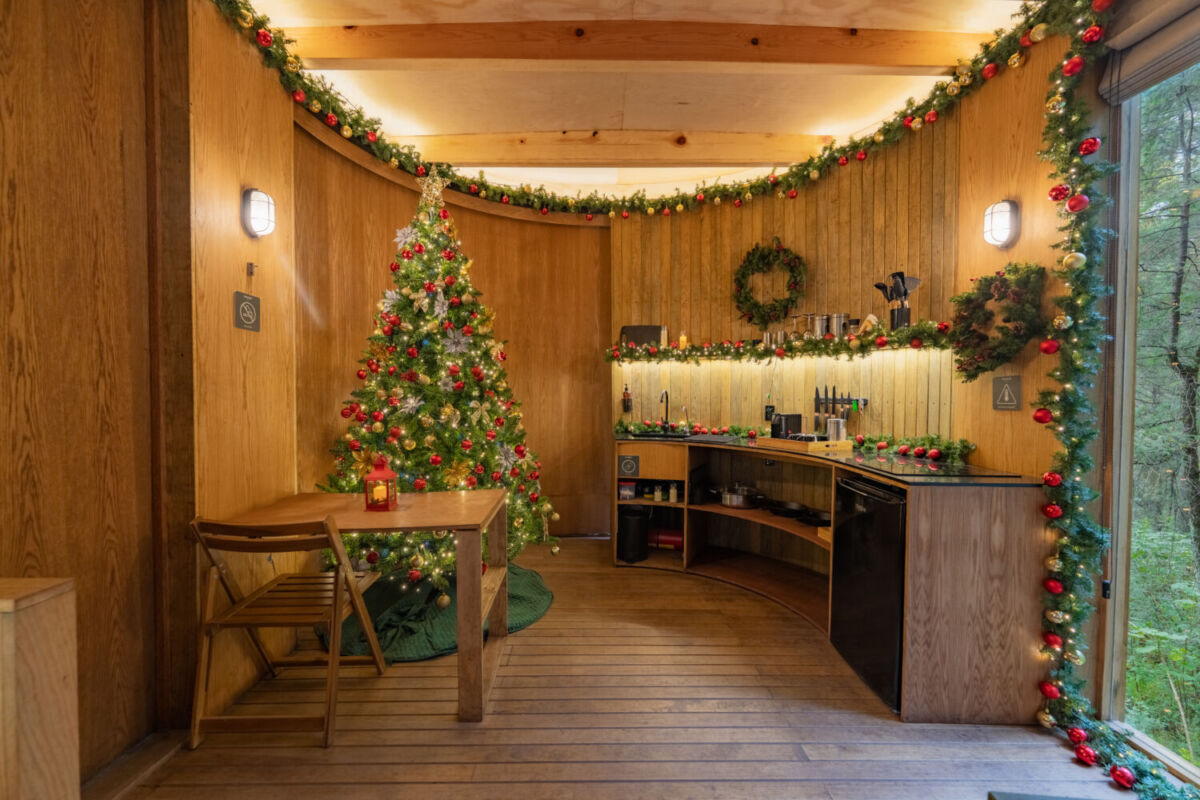 cabañas en medio del bosque 