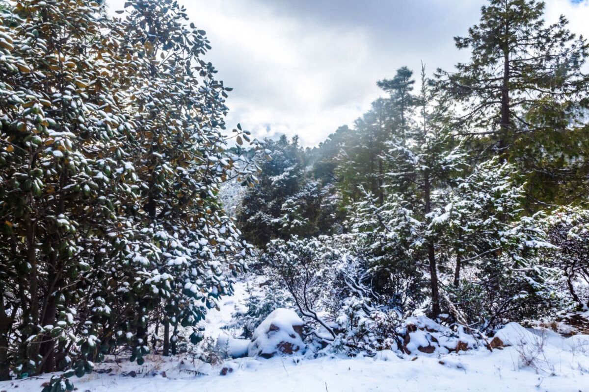 Creel en invierno se cubre de nieve 