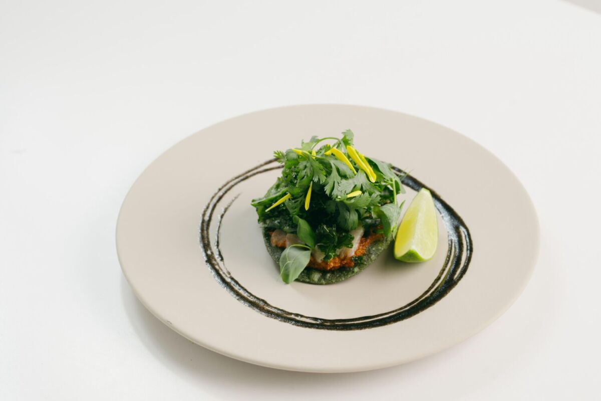 Menú de degustación Fónico