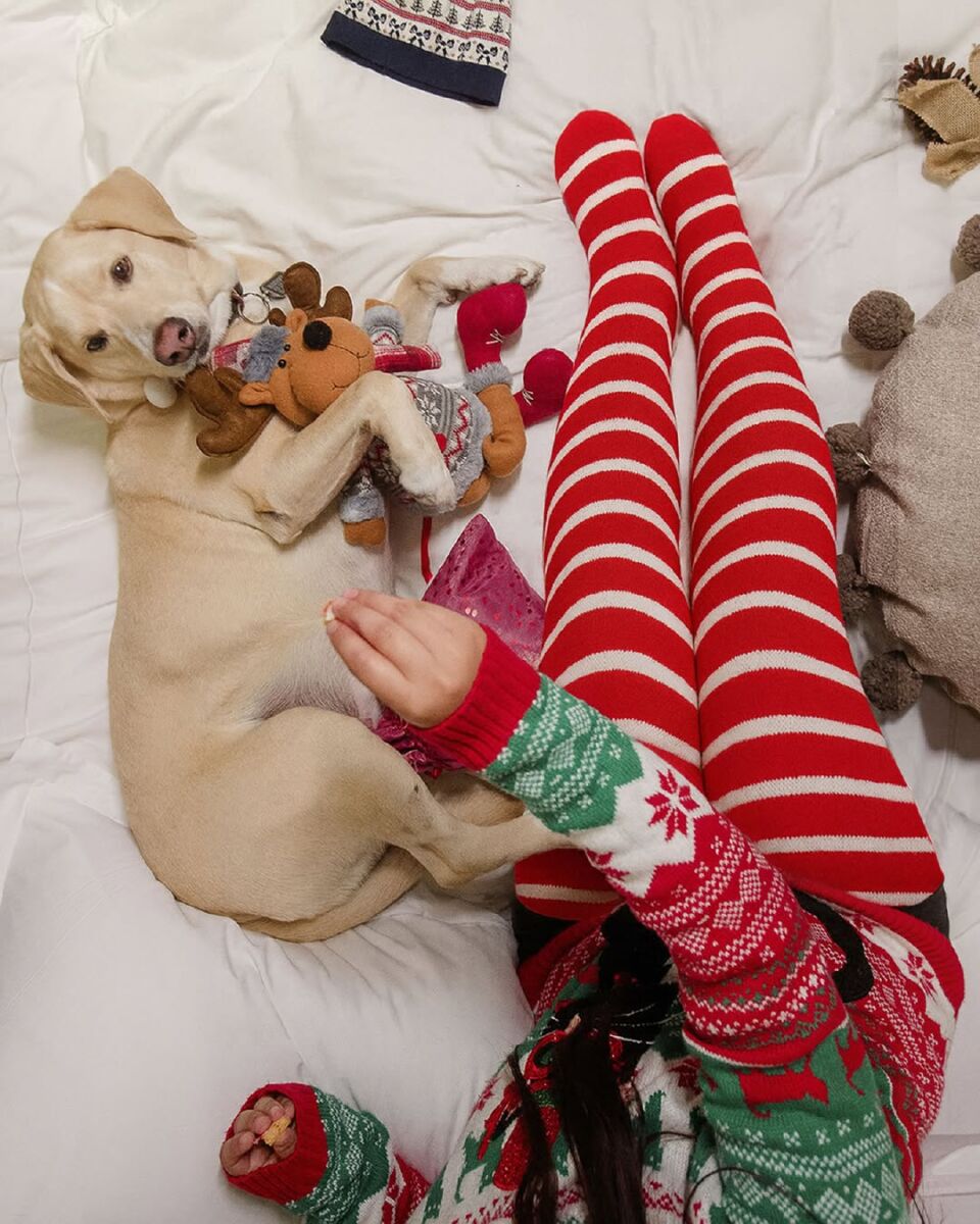 navidad numu san miguel de allende