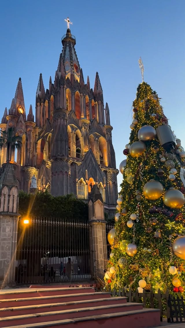san miguel de allende árbol de navidad