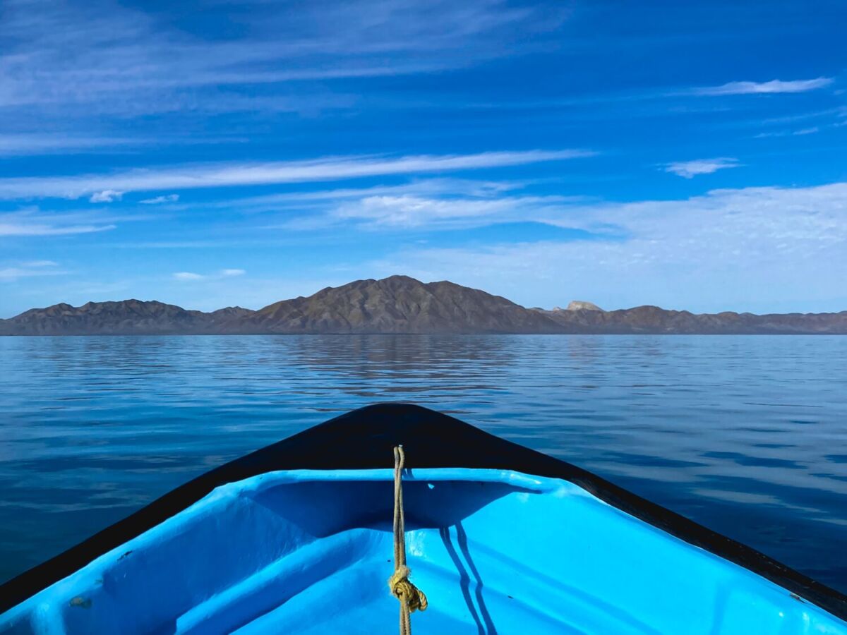 dónde ver ballenas grises en México 