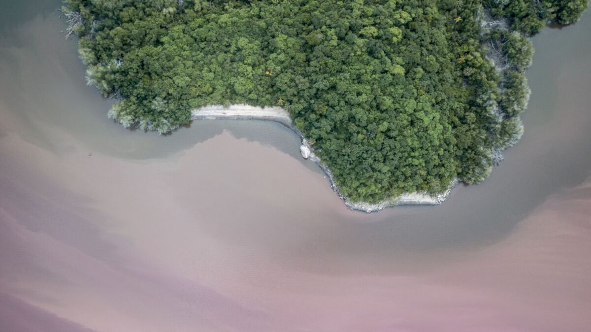 La Laguna de Manialtepec se ubica a 20 minutos de Puerto Escondido 