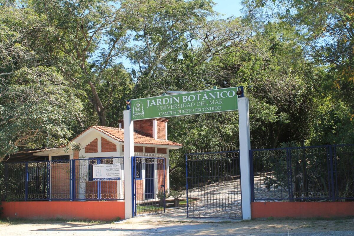 El Jardín Botánico UMAR se localiza dentro de la Universidad Del Mar Campus Puerto Escondido