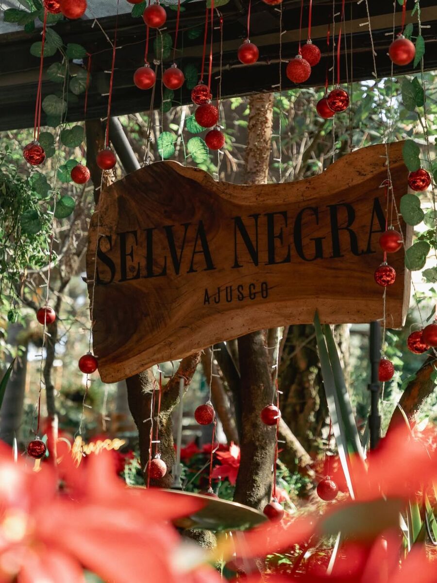 Restaurante Selva Negra Ajusco 