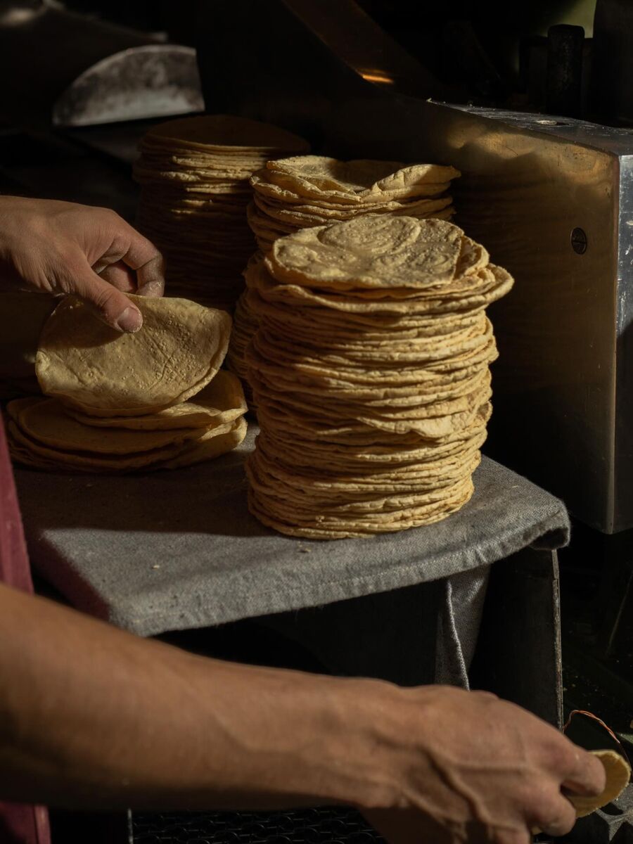 Tortillas hechas en casa