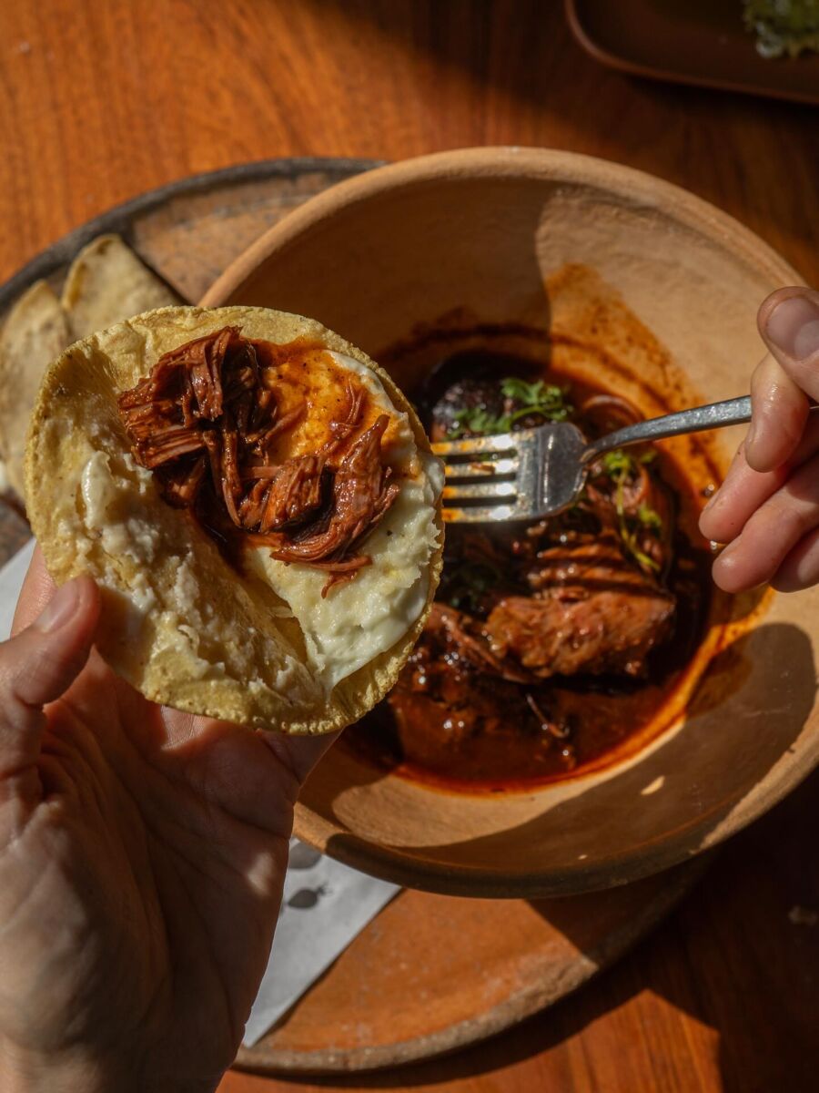 Entomatado de short rib para taquear