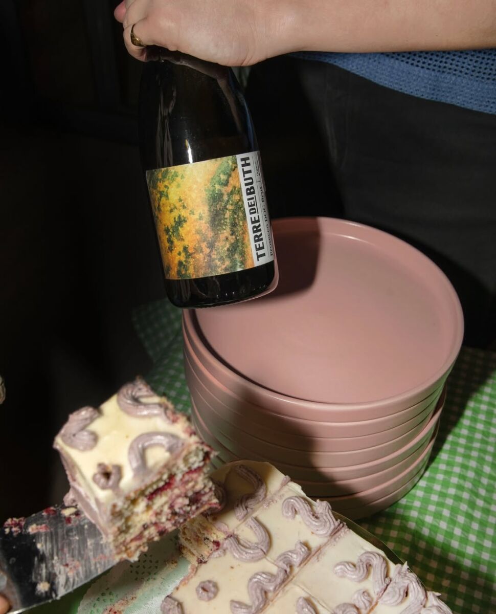 cumpleaños vinos chidos