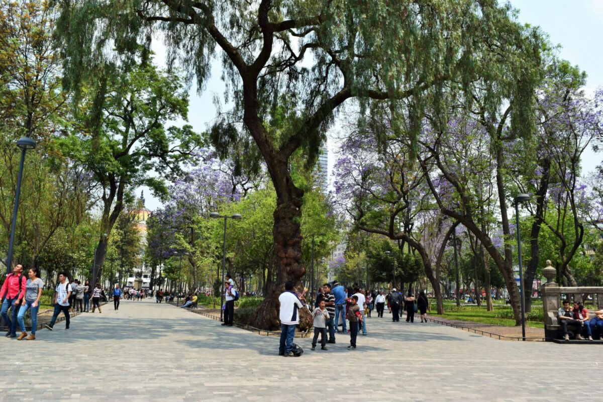 El parque al que ibas de niño también es el parque más antiguo de América 