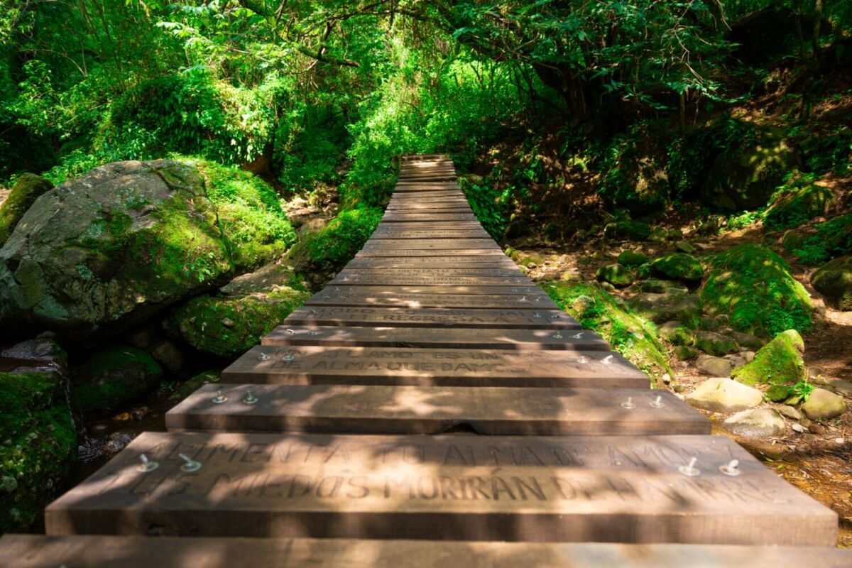 Puente de la Armonía Cósmica en Amatlán de Quetzalcóatl