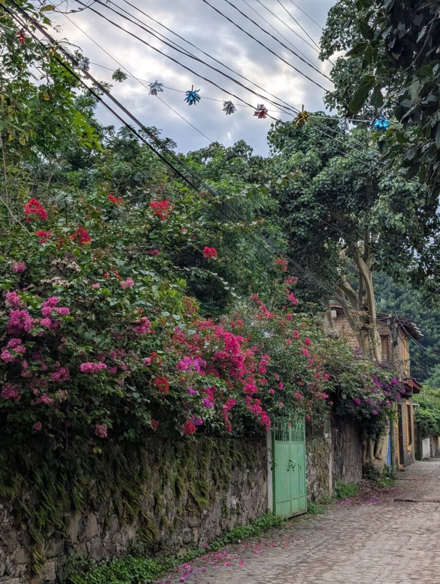 Calle pintoresca de Amatlán de Quetzalcóatl