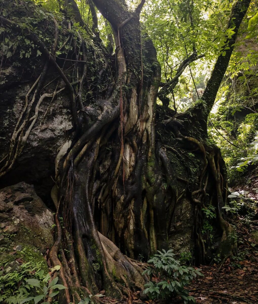 Sendero de las Dos Piedras Encontradas en Amatlán de Quetzalcóatl