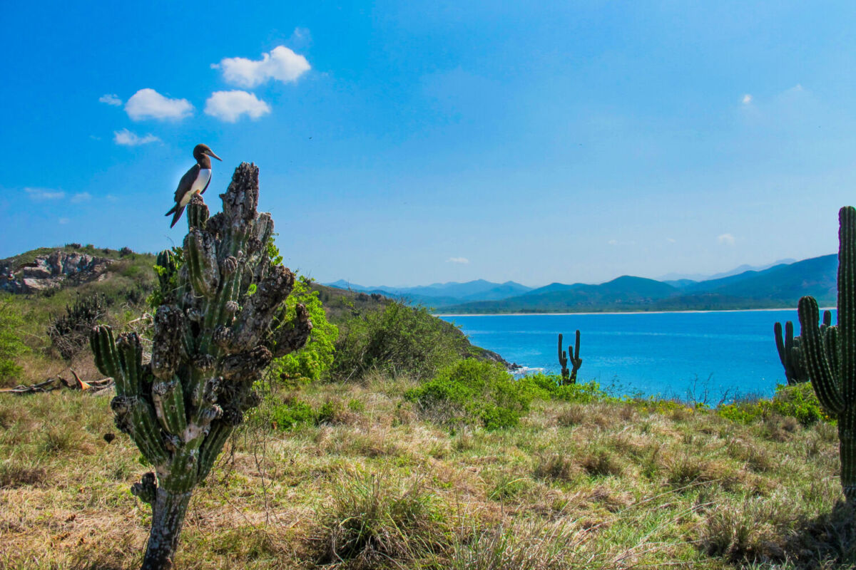 La Bahía de Chamela tiene la mayor cantidad de islas en su interior 