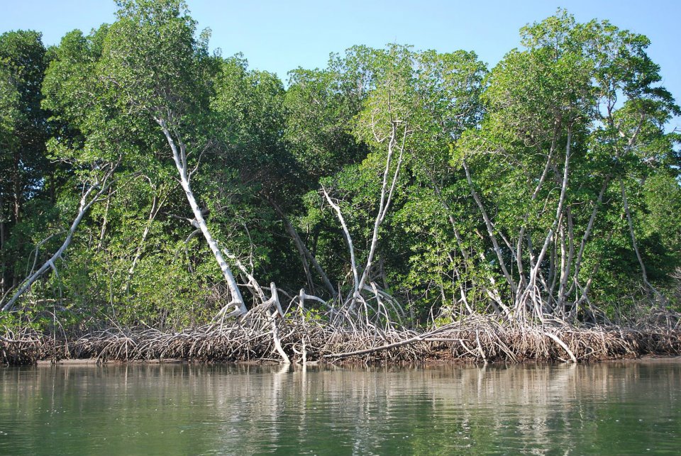 Boca Del Cielo Chiapas