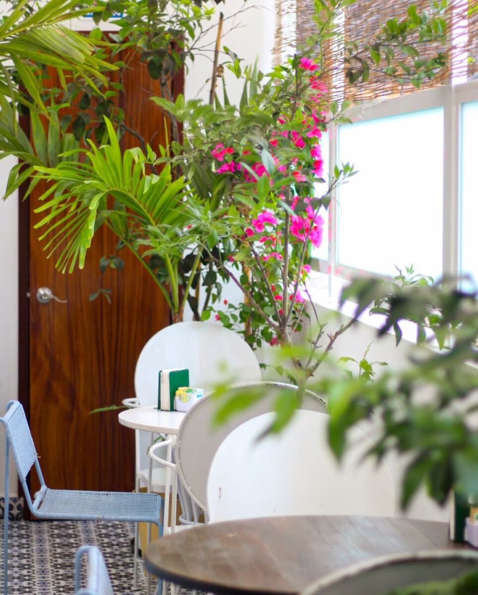 cafetería bonita en el centro de coyoacán, los amantes café y bistro