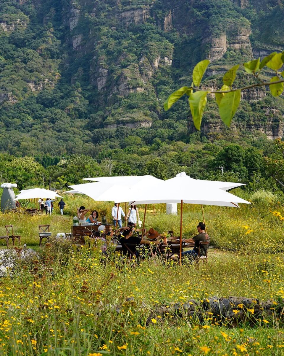 campo escultórico dilao en tepoztlán