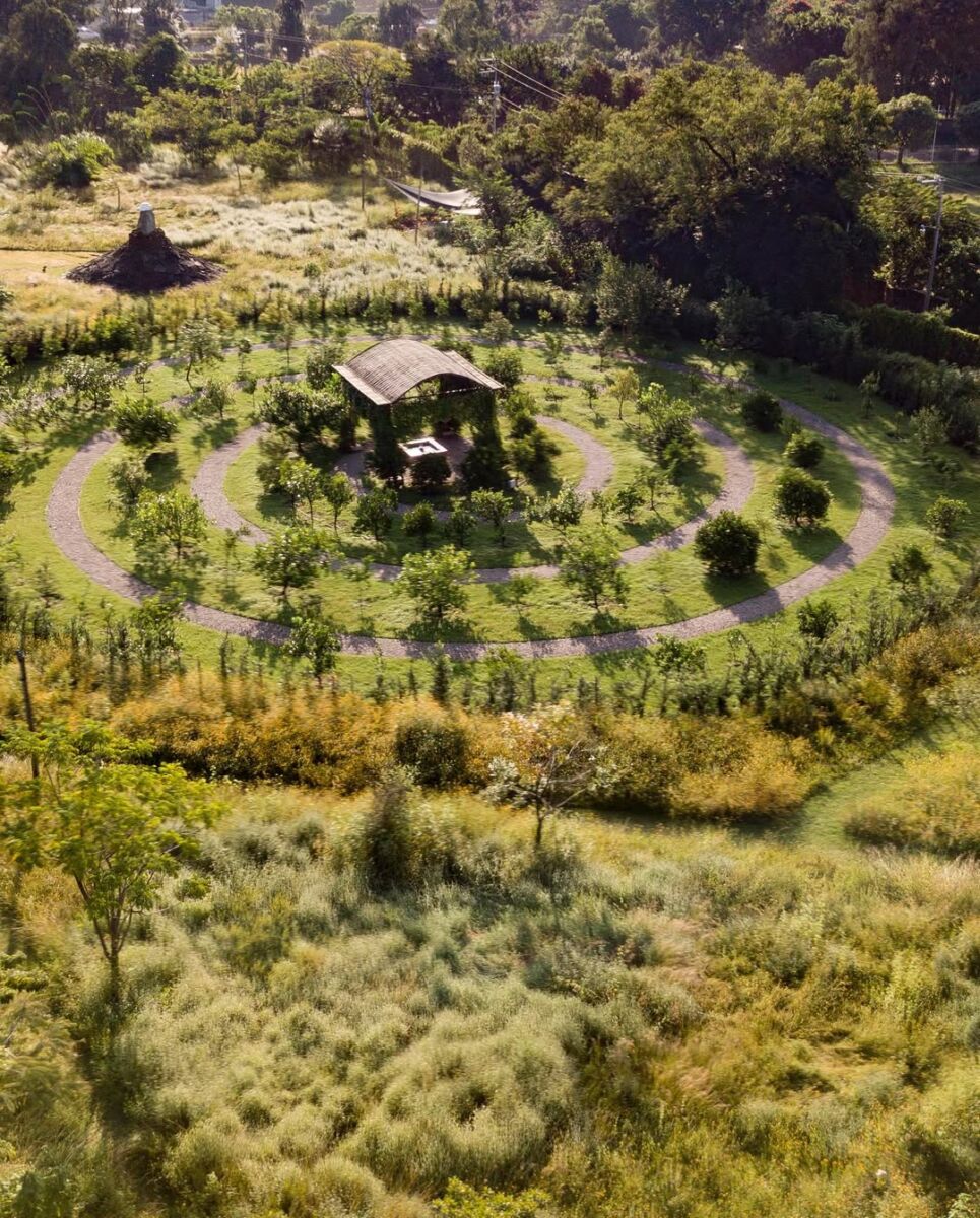 espiral de cítricos en campo escultórico dilao en tepoztlán