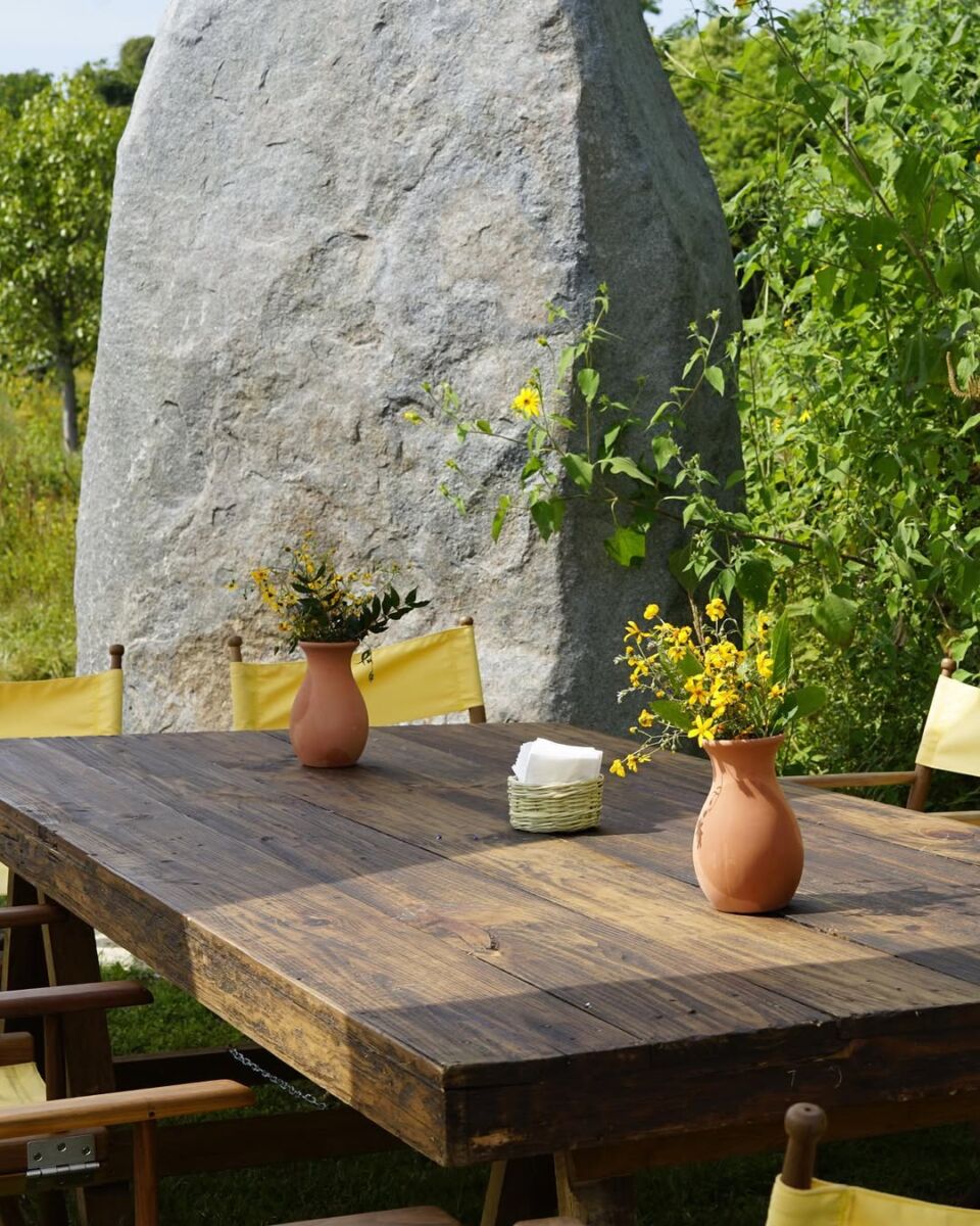 campo escultórico dilao en tepoztlán