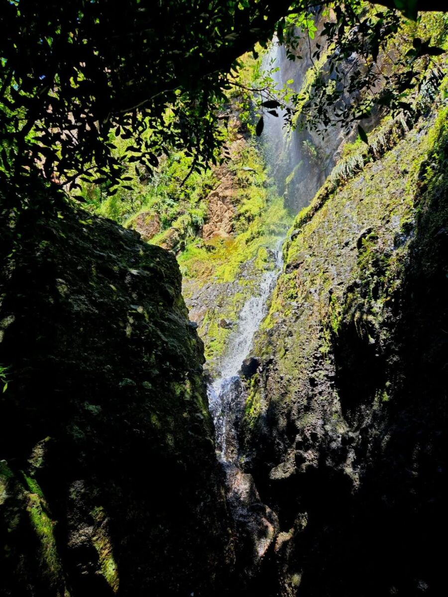 La Cascada de los Venaditos se ubica en el Valle de Atongo 