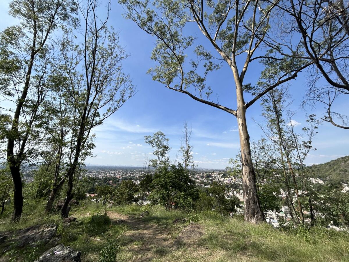 Si ya te cansaste de las trajineras, este tesoro arqueológico de Xochimilco es el plan de domingo que no conocías