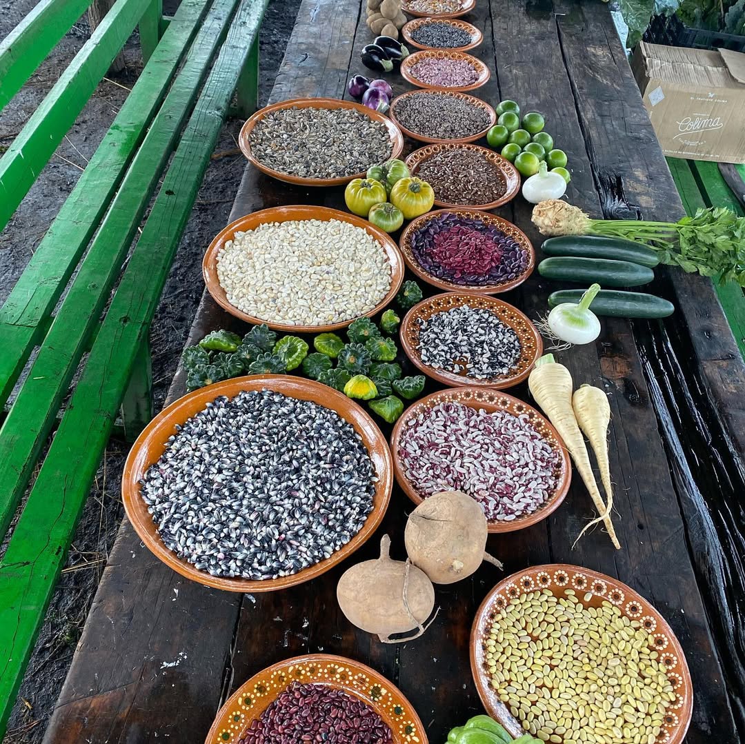cocina chef eduardo garcia cdmx