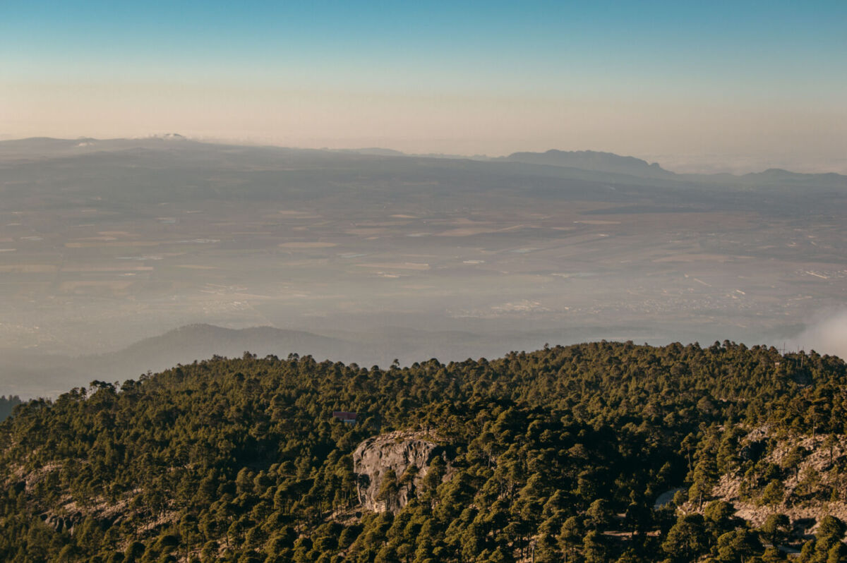 En 1937, el Cofre de Perote fue nombrado Parque Nacional 