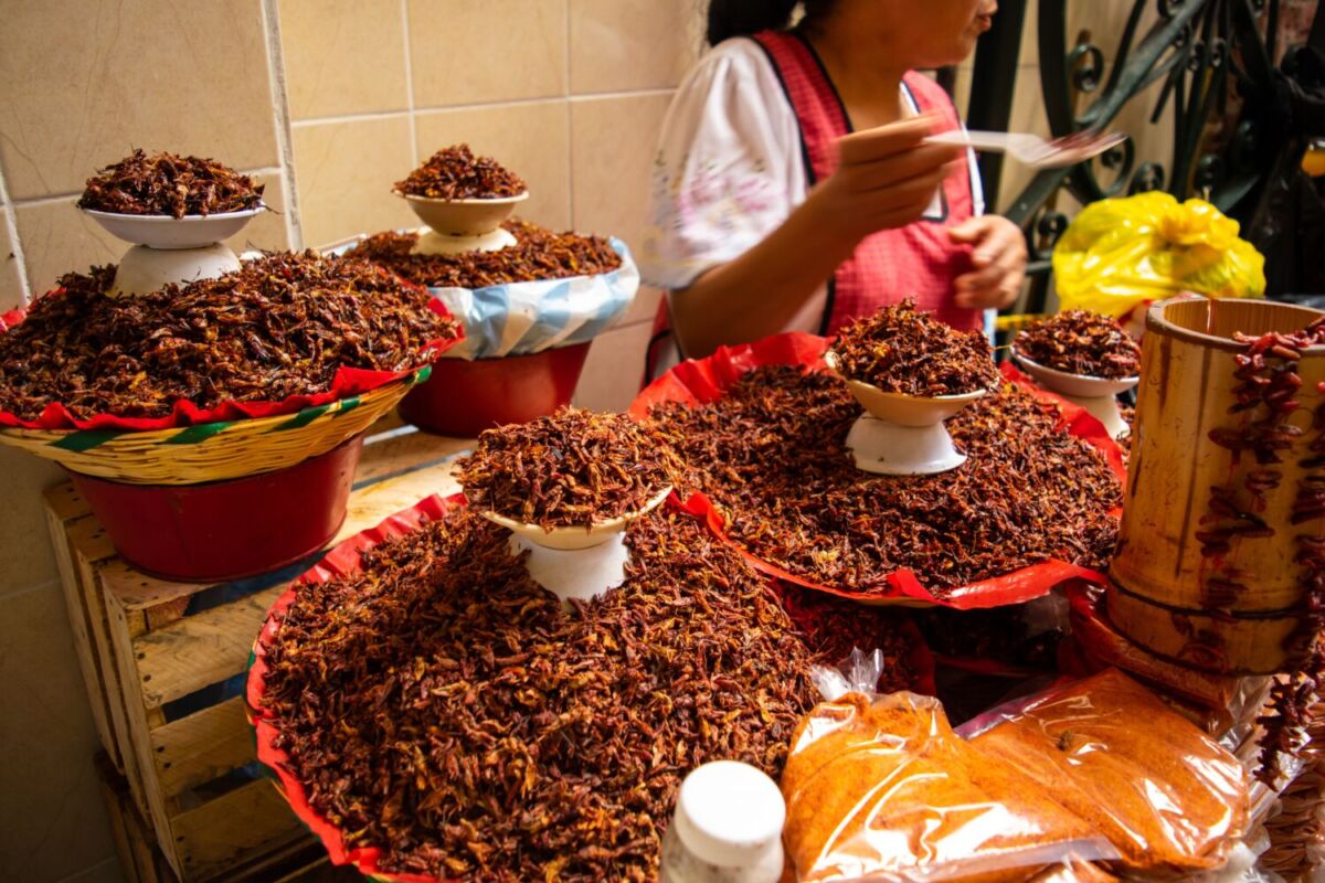 Comida prehispánica en México 