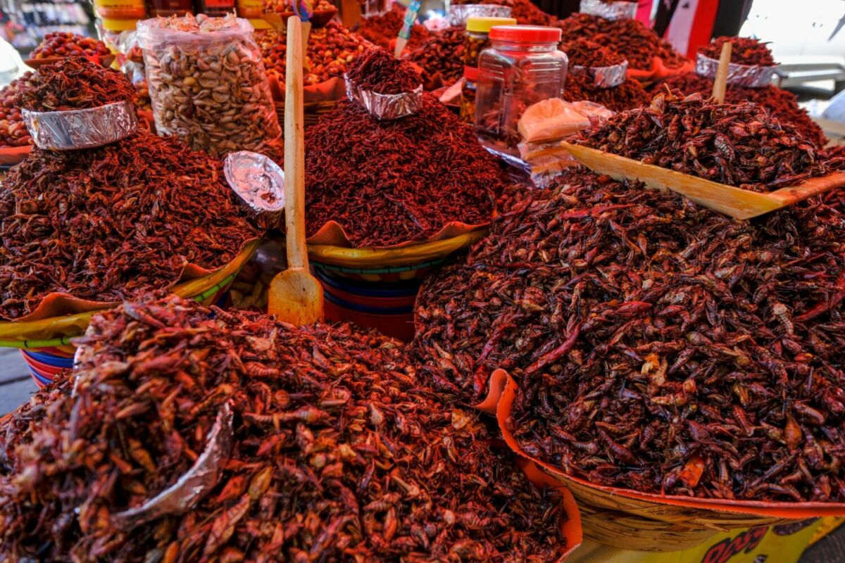 Estados de México donde aún se come comida prehispánica