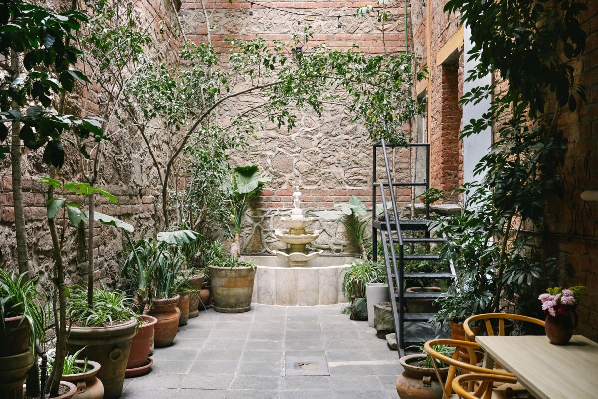 patio principal patio 77